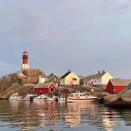 Denne Skal Slettes لارفيك